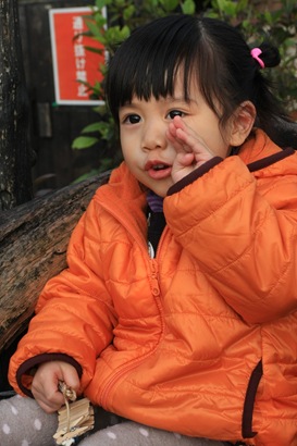 IMG_6733 IMG_6733