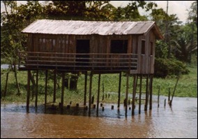 Palafita