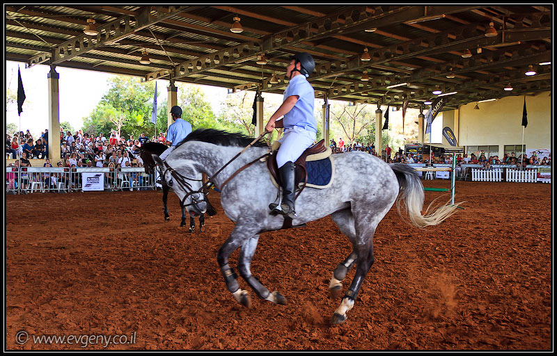 il/Фото: Stallion Show 2011 (20110416 stllion show 016 2034)