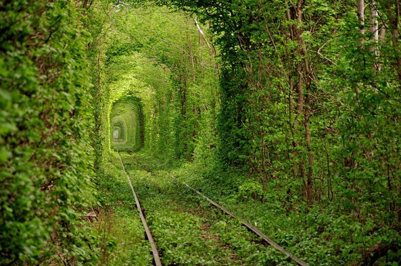 بالصور: نفق جميل من الاشجار تعبر منه القطارات باوكرانيا Tunnel-of-love-2%25255B2%25255D