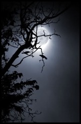 Crow_Moon_web