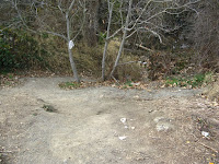 Cottle to Home 024.JPG Photo