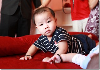 IMG_0973 IMG_0973