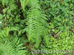 DSCN0353 DSCN0353