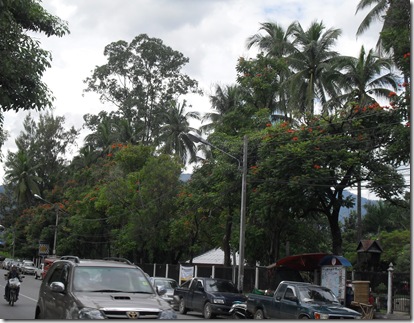 SDC14395 SDC14395