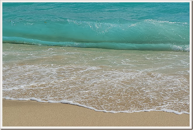 sea-public-domain-pictures-(886) sea-public-domain-pictures-(886)