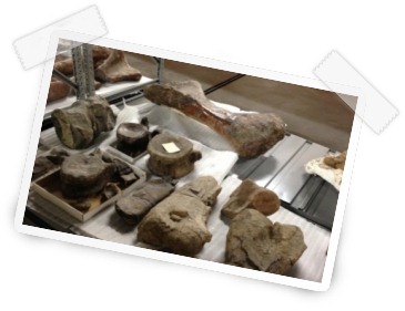 [curatorial%2520building%255B8%255D.jpg]