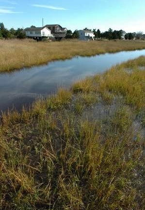 Delaware stands to lose about 95 percent of its coastal wetlands, like those at Prime Hook National Wildlife Refuge just west of Broadkill Beach, during the next 100 years in the worst-case scenario. GARY EMEIGH / NEWS JOURNAL FILE