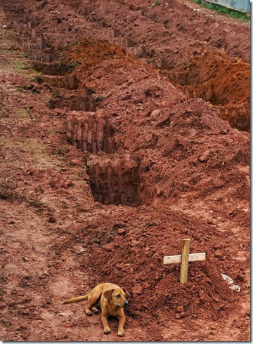 powerful-photos-17 powerful-photos-17