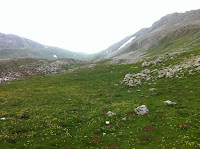 IMG_1330.JPG
