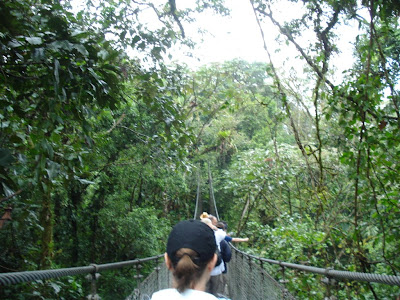 Some more suspension bridges.  This particular rainforest, due to its proximity to the volcanic soil and the humid climate, was especially "rainforesty" in its vegetation and size.