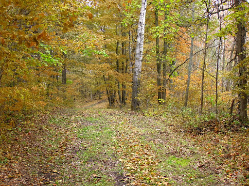 End of Roy's Run/North Loup