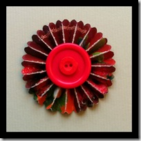 IMG_5462 IMG_5462