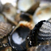 april2008 216.JPG