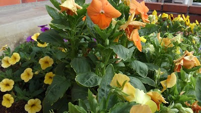 2014-07-01 08.27.52.jpg