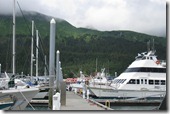 IMG_4808 IMG_4808