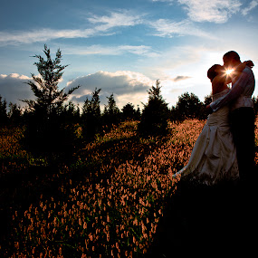 by Steven C. Bloom - Wedding Bride & Groom ( field, sunburst, bride, groom, sun )