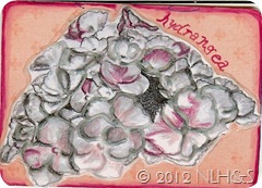 scan0005