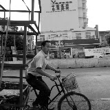 Shanghai - Marché poisson - Le transporteur du cube à vélo