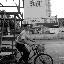 Shanghai - Marché poisson - Le transporteur du cube à vélo