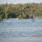 IMG_7993.JPG