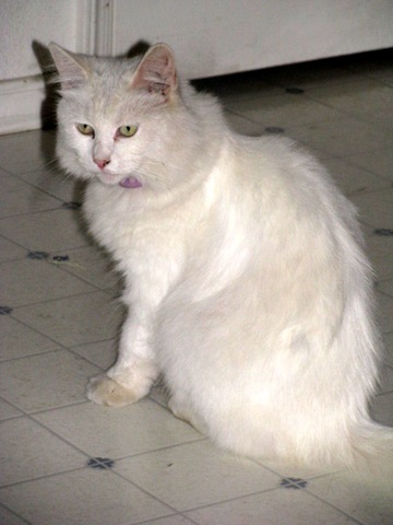 [IMG_0051%255B2%255D.jpg]