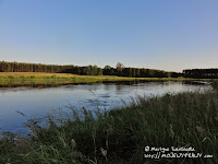 nadwarciańskie pejzaże