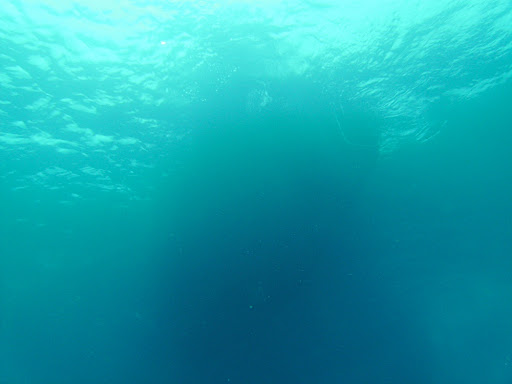 The dive boat from below