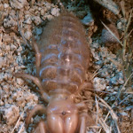 IMAG0326.jpg