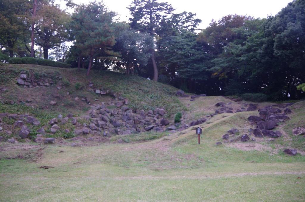 [IMGP32023.jpg]