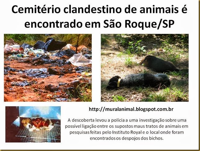 Cemitério clandestino de animais é encontrado em São