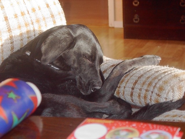 [Majja%2520snarkar%255B3%255D.jpg]