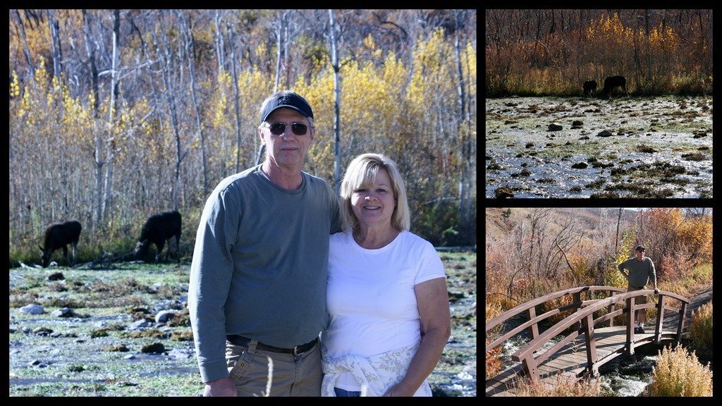 [2011-10-23%2520Sunday%2520Drive2%255B3%255D.jpg]