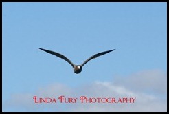 Cruise 048