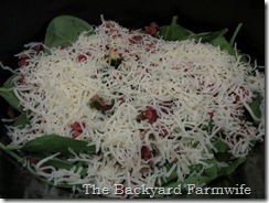 crock pot frittata - The Backyard Farmwife