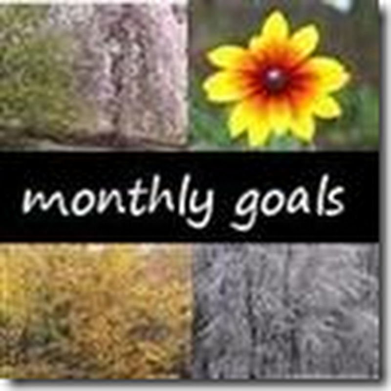 September in Review and Plans for October