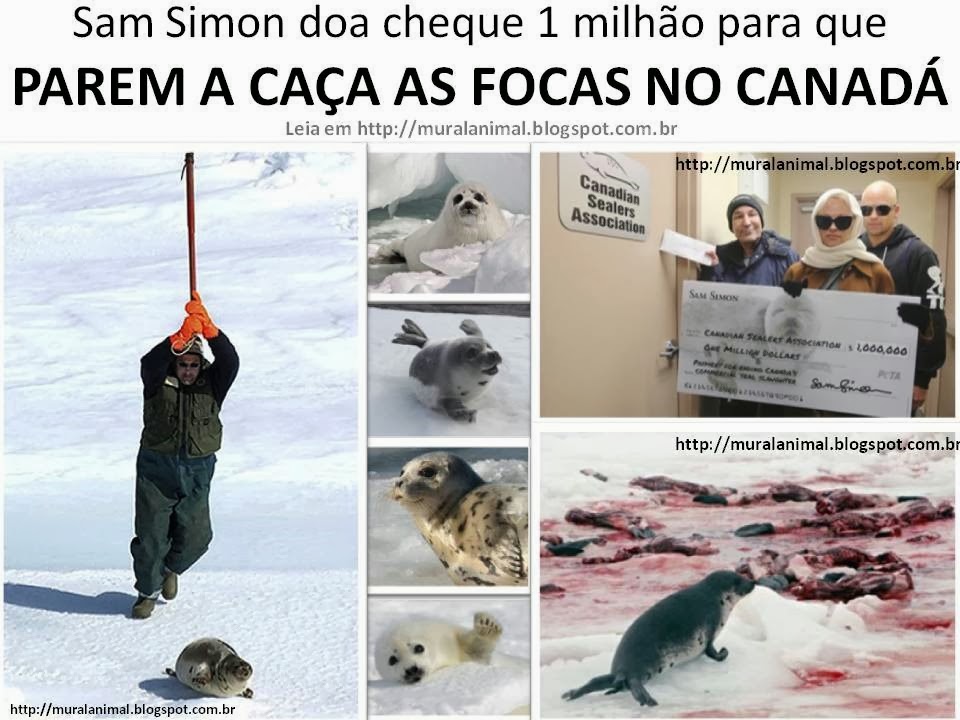[Sam%2520Simon%2520ca%25C3%25A7a%2520focas%255B3%255D.jpg]