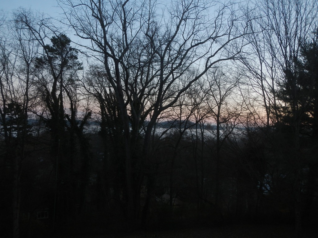 [DSCN6554%255B4%255D.jpg]