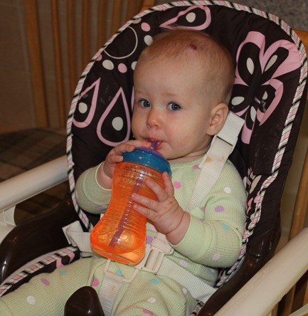IMG_1947 IMG_1947