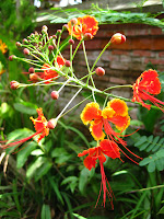 Ubud