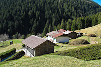 cauriol-5280.jpg Photo cauriol-5280.jpg Photo