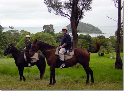 killer_horse