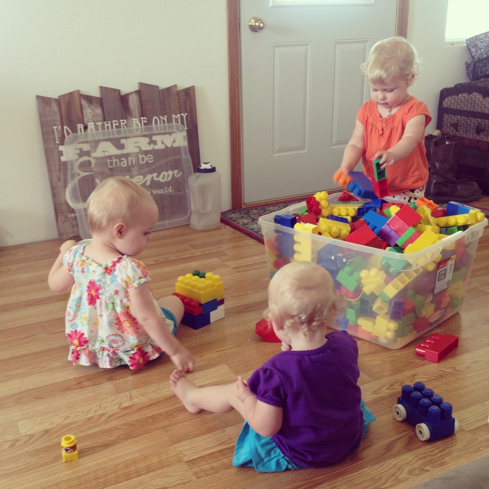 [photo%2520%25282%2529%255B6%255D.jpg]