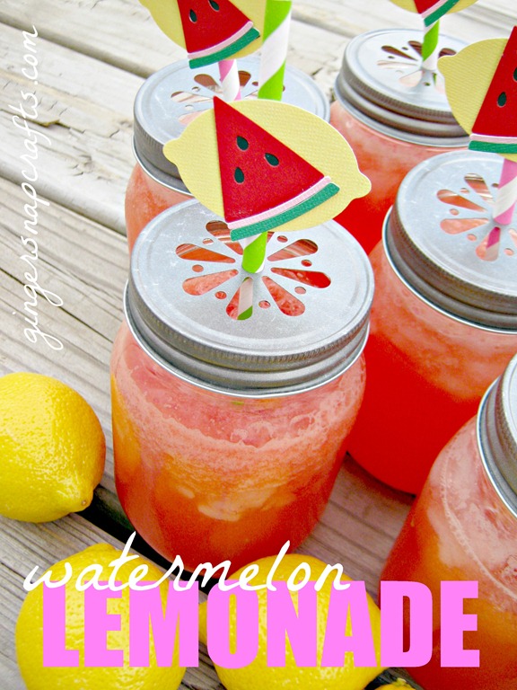 [watermelon-lemonade4.jpg]