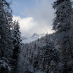 IMG_5991.jpg