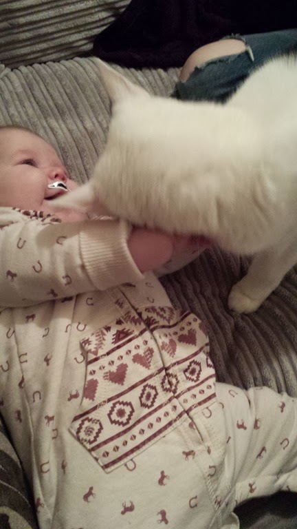 [20131107_1647523.jpg]