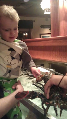 Touching the lobster at red lobster. we had the best waitress ever