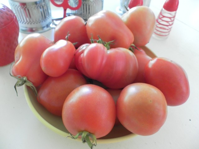 [tomatoes%252002%255B3%255D.jpg]