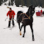farsang_homorod-3328.jpg