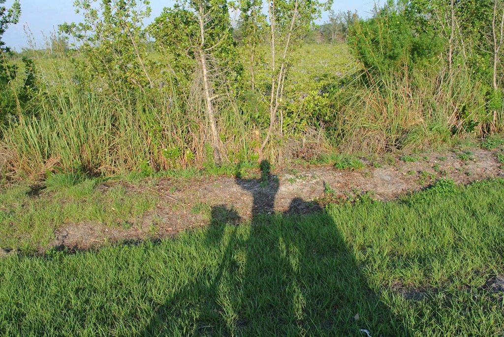 [DSC_1529%255B3%255D.jpg]